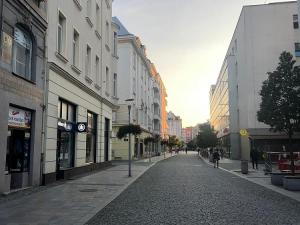 Prodej bytu 2+kk, Ostrava - Moravská Ostrava, 28. října, 64 m2