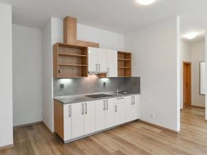 Pronájem bytu 2+kk, Praha - Kamýk, U Kamýku, 59 m2