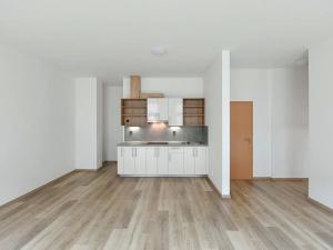 Pronájem bytu 2+kk, Praha - Kamýk, U Kamýku, 59 m2