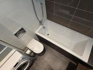 Pronájem bytu 2+kk, Praha - Libeň, U libeňského pivovaru, 50 m2