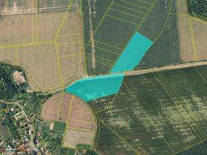 Prodej pole, Sobíšky, 42910 m2