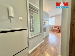 Pronájem bytu 1+kk, Kladno - Kročehlavy, Benešovská, 30 m2