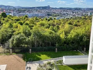 Pronájem bytu 2+kk, Brno, třída Generála Píky, 50 m2