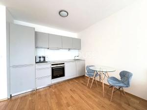 Pronájem bytu 1+kk, Praha - Žižkov, Pitterova, 44 m2