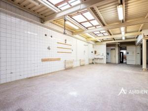 Prodej obchodního prostoru, Újezd u Brna, Nádražní, 901 m2