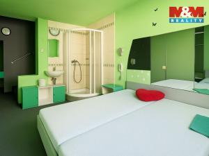 Prodej rodinného domu, České Velenice, Komenského, 650 m2