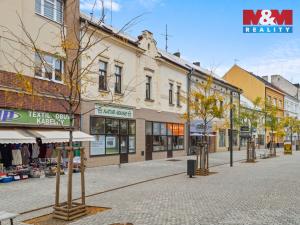 Prodej rodinného domu, Kladno, T. G. Masaryka, 305 m2