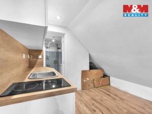 Prodej ubytování, Rokytnice nad Jizerou - Horní Rokytnice, 440 m2