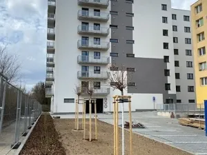 Pronájem bytu 1+kk, Jihlava, Okružní, 35 m2