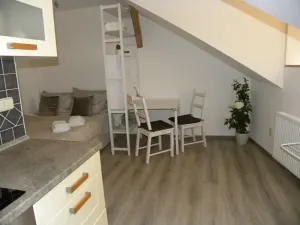 Pronájem bytu 1+kk, Jihlava, Lazebnická, 28 m2