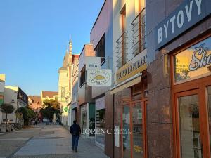 Pronájem obchodního prostoru, Hodonín, Příční, 47 m2