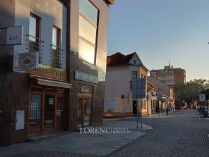 Pronájem obchodního prostoru, Hodonín, Příční, 47 m2