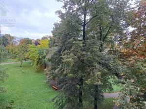 Pronájem bytu 1+1, Ostrava, Hornopolní, 40 m2