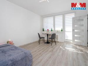 Prodej bytu 1+kk, Hradec Králové - Slezské Předměstí, Třebechovická, 35 m2