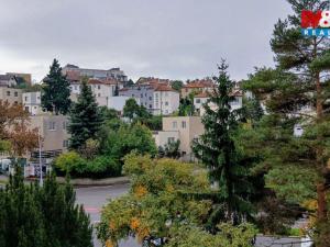 Pronájem bytu 2+kk, Praha - Podolí, Dvorecká, 47 m2