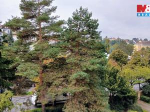 Pronájem bytu 2+kk, Praha - Podolí, Dvorecká, 47 m2