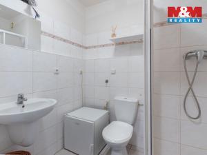 Prodej bytu 1+kk, Písek - Budějovické Předměstí, Za Pazdernou, 18 m2