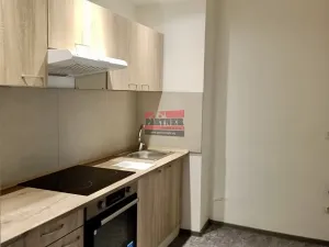 Pronájem bytu 2+1, Lštění, Míru, 60 m2