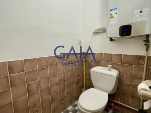 Pronájem bytu 3+1, Vnorovy, Dražky, 108 m2