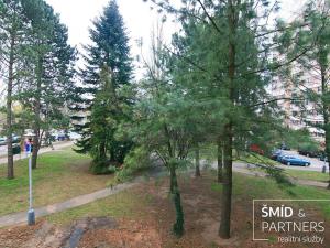 Pronájem bytu 1+1, Kolín, Dělnická, 34 m2