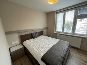 Pronájem bytu 2+kk, Praha - Podolí, Levá, 42 m2