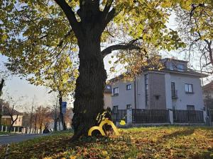 Pronájem bytu 3+1, Praha - Strašnice, Pod Viktorkou, 96 m2