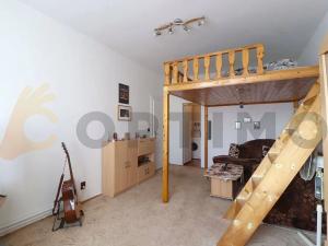 Prodej bytu 1+1, Praha - Libeň, Zenklova, 44 m2