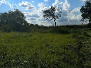 Prodej pozemku pro bydlení, Krušovice, 2750 m2