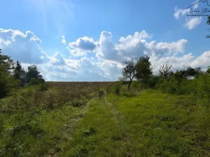 Prodej pozemku pro bydlení, Krušovice, 2750 m2