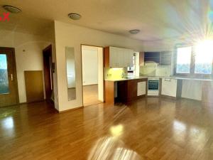 Pronájem bytu 3+1, Bílovec, Wolkerova, 109 m2