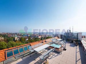 Pronájem bytu 5+1, Praha - Vinohrady, Kladská, 225 m2