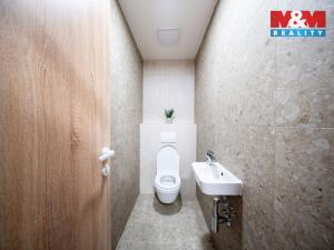 Pronájem bytu 2+kk, Brandýs nad Labem-Stará Boleslav, Dřevčická, 58 m2