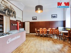 Pronájem restaurace, Klatovy - Klatovy III, Nádražní, 100 m2