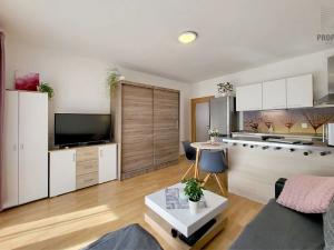 Pronájem bytu 1+kk, Brno, Hvozdecká, 38 m2