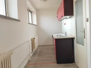 Pronájem bytu 2+kk, Kozojedy, 46 m2