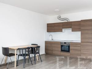 Pronájem bytu 1+kk, Praha - Žižkov, Olgy Havlové, 48 m2