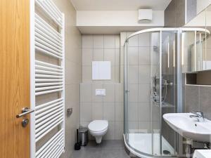Pronájem bytu 1+kk, Praha - Žižkov, Olgy Havlové, 48 m2