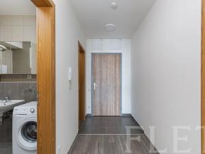 Pronájem bytu 1+kk, Praha - Žižkov, Olgy Havlové, 48 m2