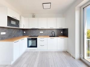 Pronájem bytu 2+kk, České Budějovice, Ant. Janouška, 47 m2