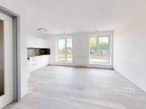 Pronájem bytu 2+kk, České Budějovice, Ant. Janouška, 48 m2
