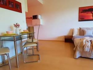 Prodej bytu 1+kk, Brno, Šemberova, 48 m2