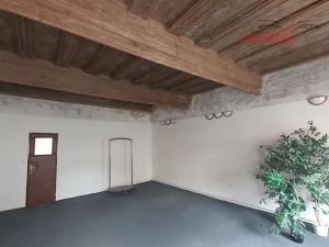 Prodej obchodního prostoru, Jihlava, Palackého, 490 m2