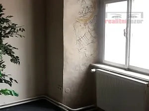 Prodej obchodního prostoru, Jihlava, Palackého, 490 m2