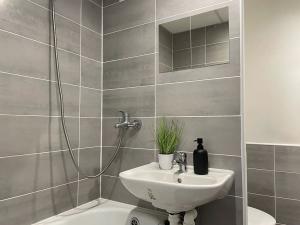 Pronájem bytu 1+1, Litvínov, Mládežnická, 38 m2