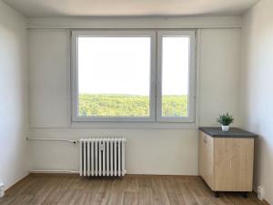 Pronájem bytu 1+1, Litvínov, Mládežnická, 38 m2