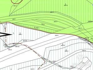 Prodej lesa, Nové Sedlo, 4582 m2