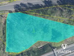 Prodej lesa, Nové Sedlo, 4582 m2