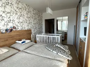 Prodej bytu 2+1, Uherský Brod, Okružní, 58 m2