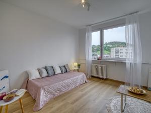 Pronájem bytu 3+1, Ústí nad Labem - Severní Terasa, Werichova, 61 m2