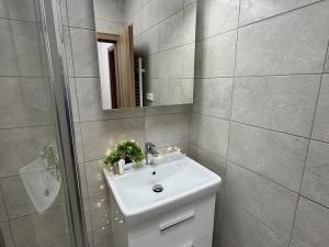 Pronájem bytu 2+1, Rostěnice-Zvonovice - Rostěnice, 64 m2